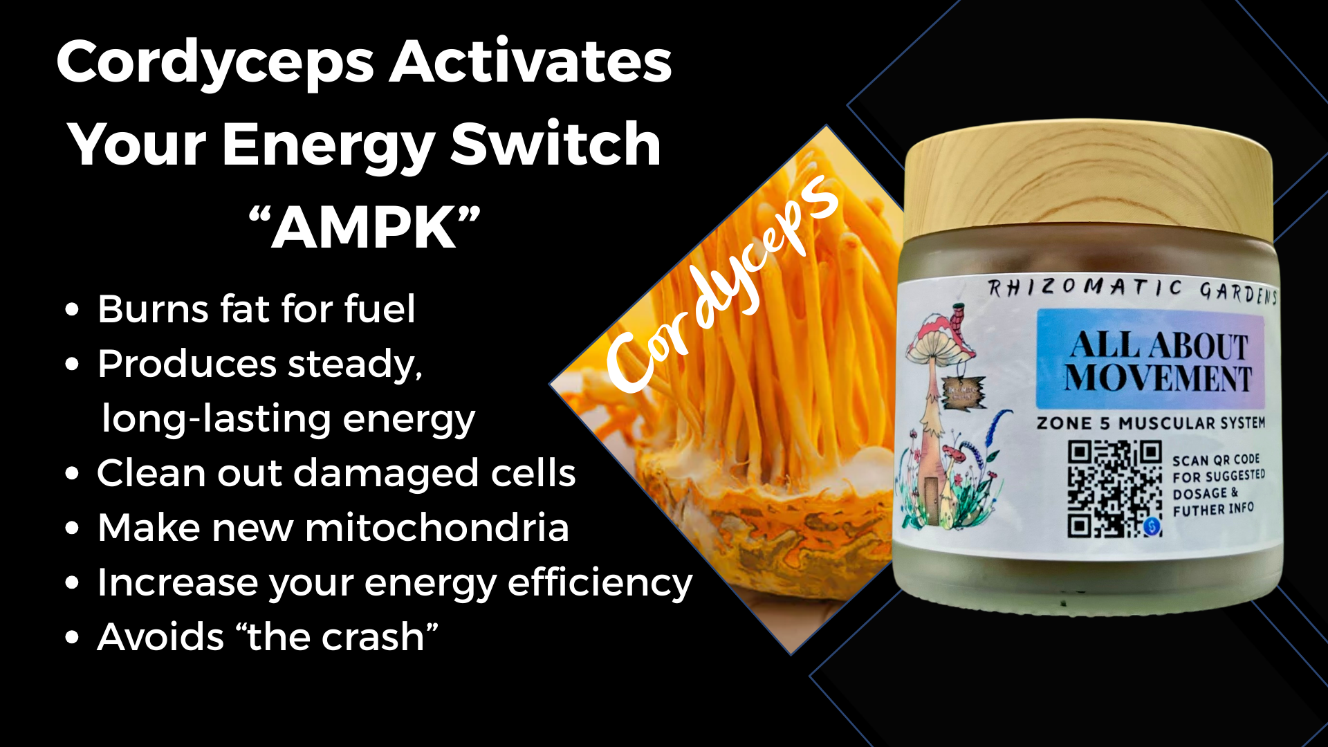 ALL ABOUT MOVEMENT - ALL-DAY ENERGY SUPPORT