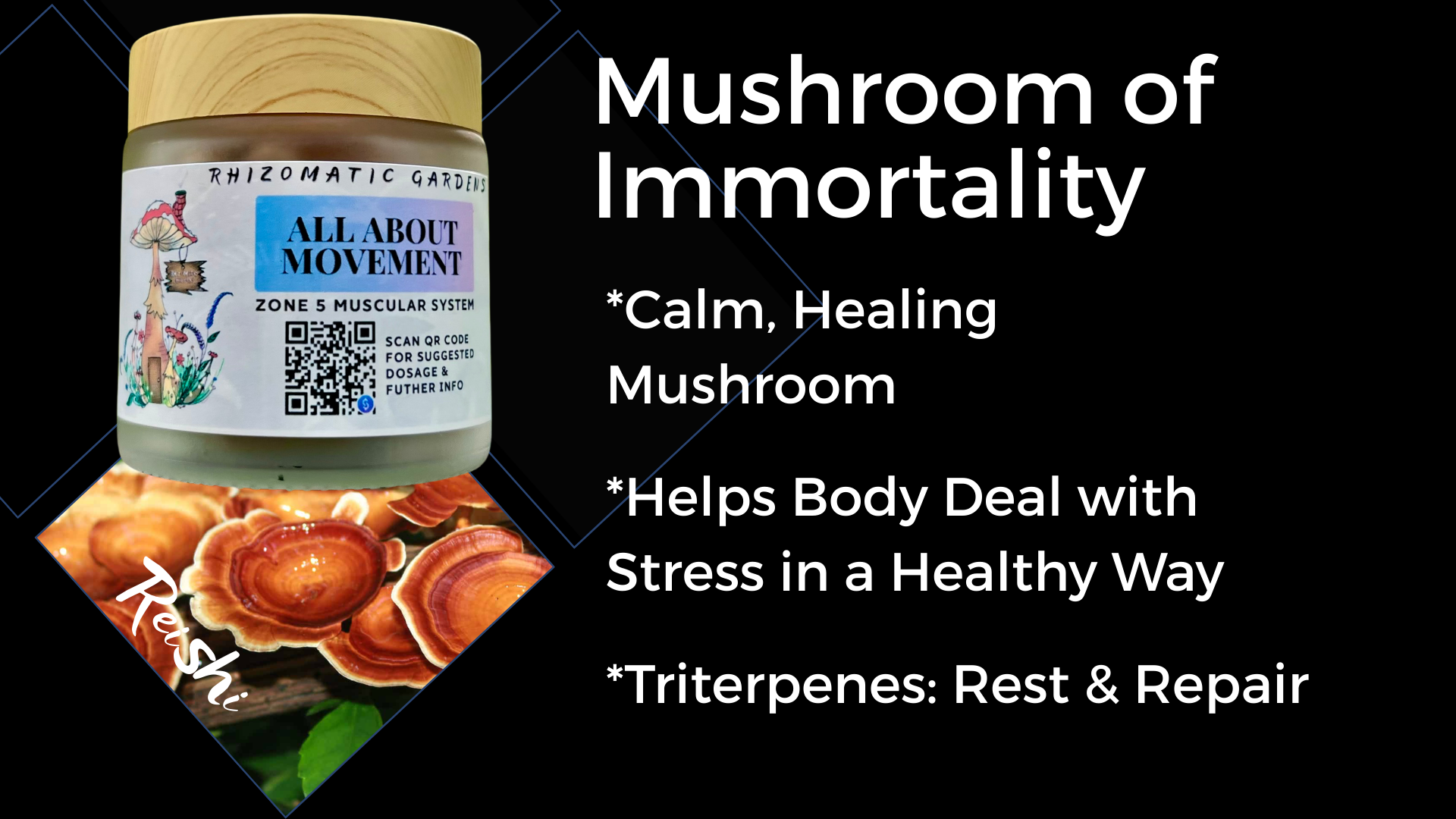 ALL ABOUT MOVEMENT - ALL-DAY ENERGY SUPPORT