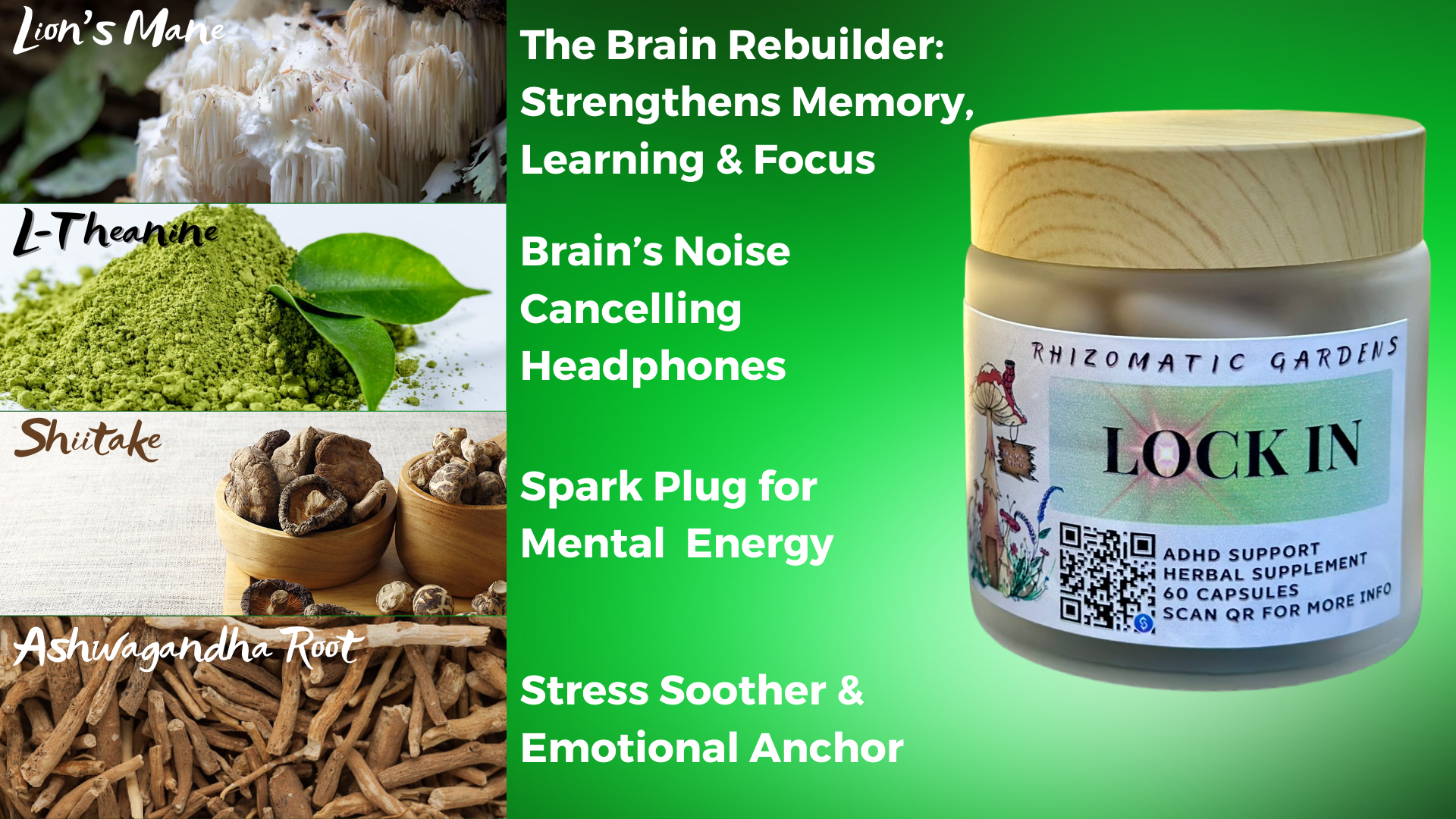 LOCK IN - ADHD & FOCUS SUPPORT