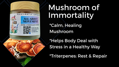 ALL ABOUT MOVEMENT - ALL-DAY ENERGY SUPPORT