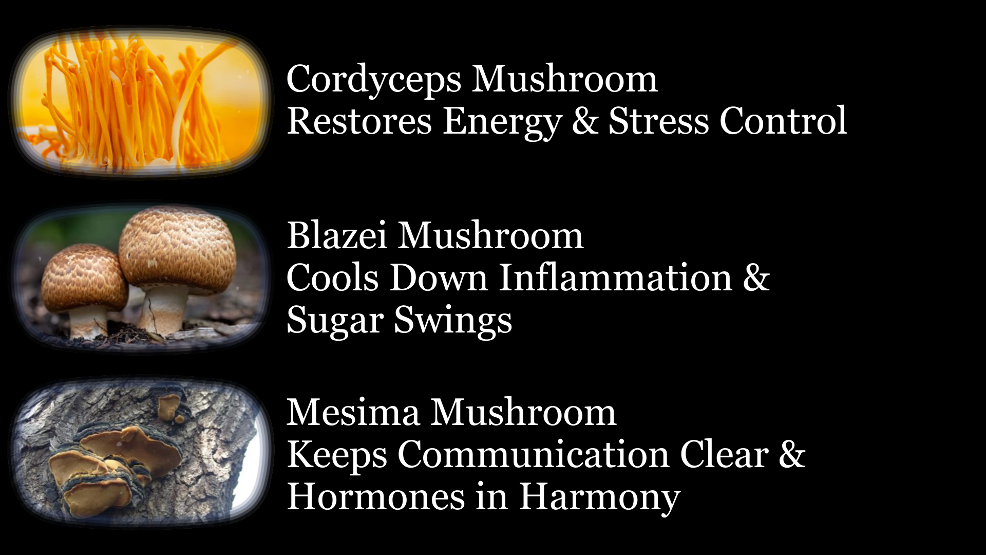 HORMONAL HARMONY - HOT FLASH & PROSTATE SUPPORT