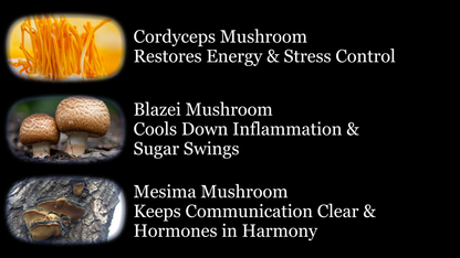 HORMONAL HARMONY - HOT FLASH & PROSTATE SUPPORT