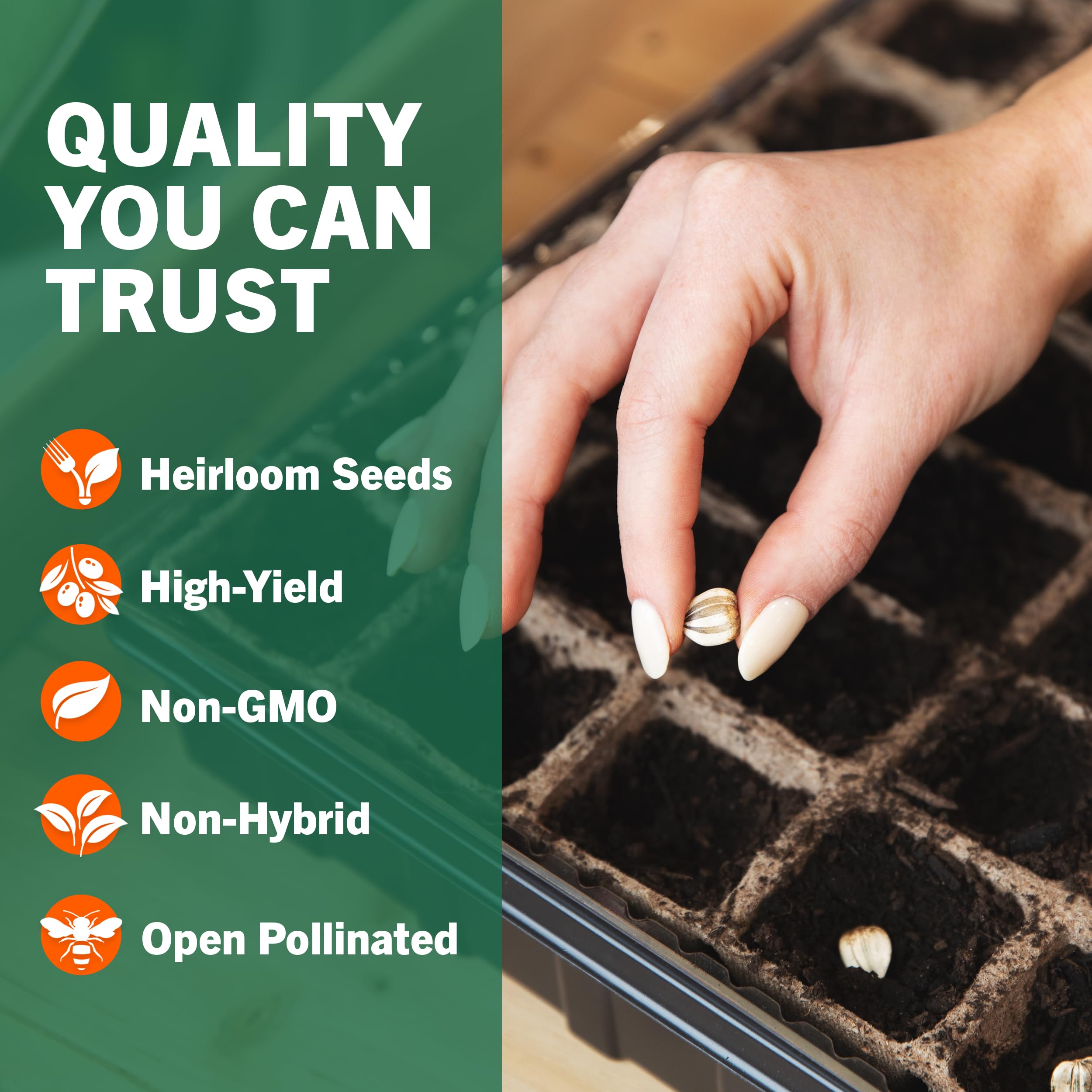 Michelle's Fav Seeds: Non GMO Heirloom Vegetable Seeds