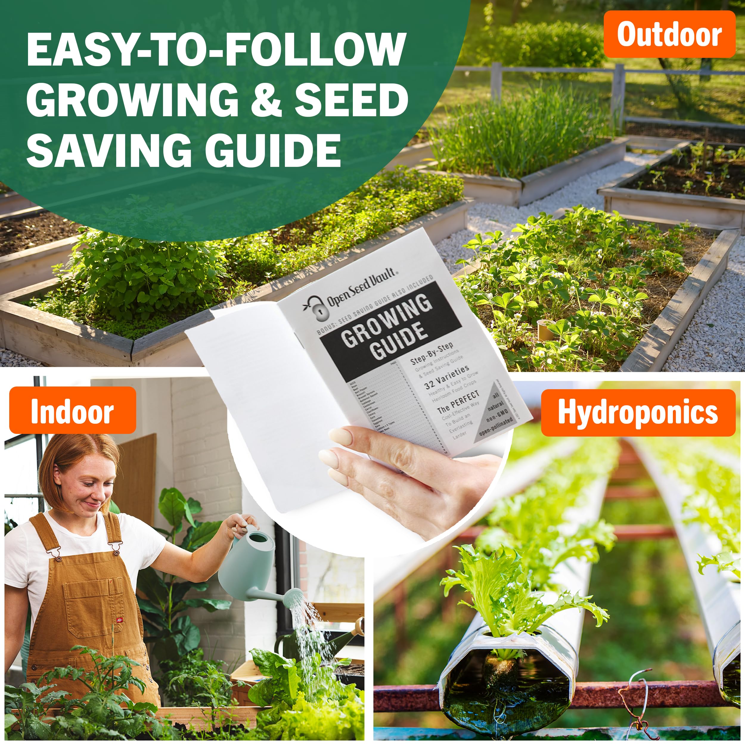 Michelle's Fav Seeds: Non GMO Heirloom Vegetable Seeds