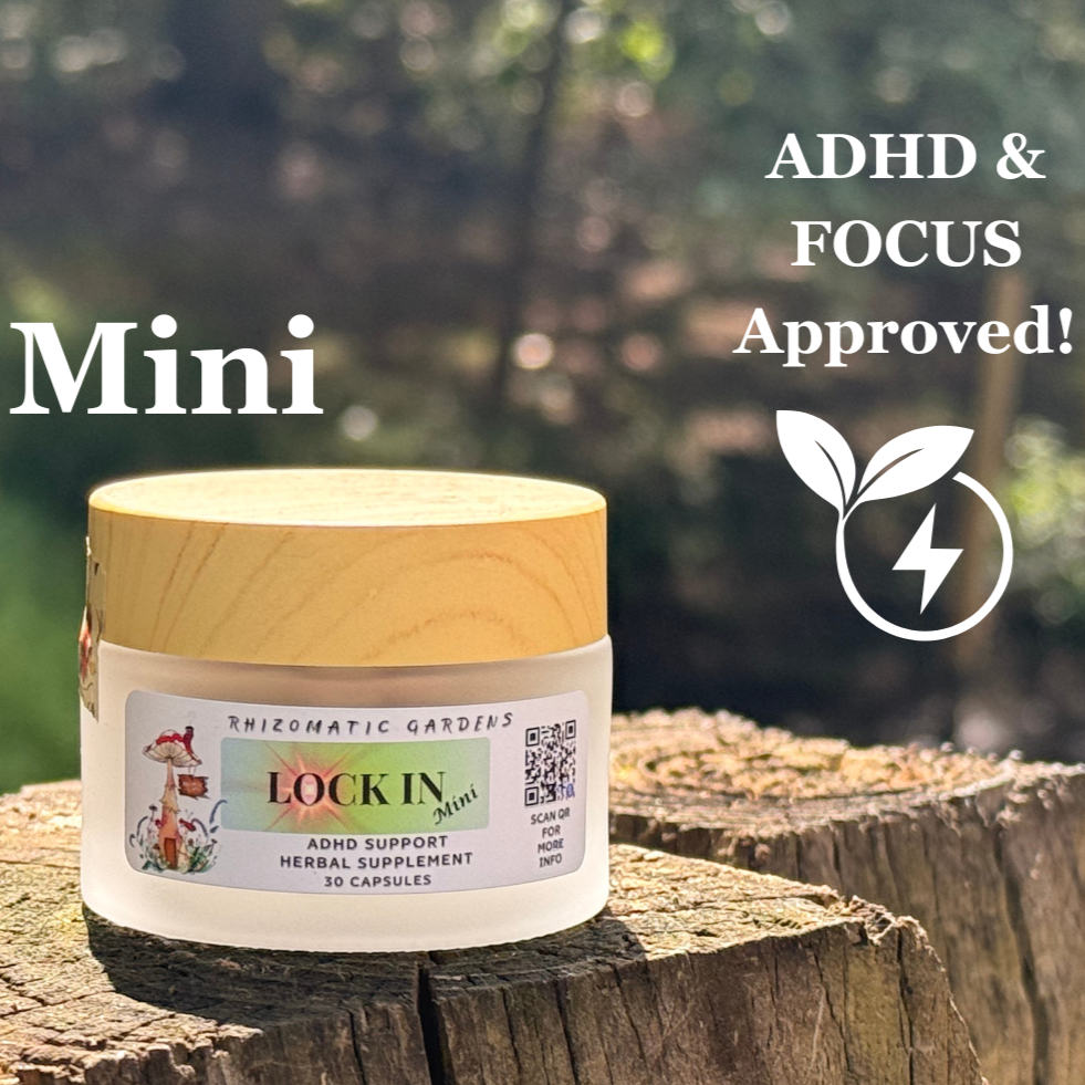 LOCK IN: Mini - ADHD & FOCUS SUPPORT