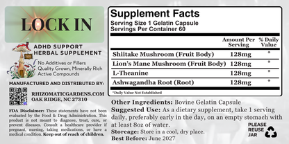 LOCK IN - ADHD & FOCUS SUPPORT