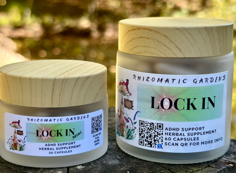 LOCK IN: Mini - ADHD & FOCUS SUPPORT