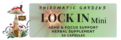 LOCK IN: Mini - ADHD & FOCUS SUPPORT