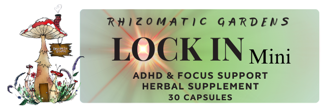 LOCK IN: Mini - ADHD & FOCUS SUPPORT