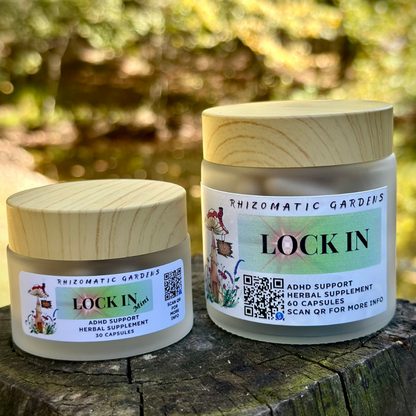 LOCK IN - ADHD & FOCUS SUPPORT