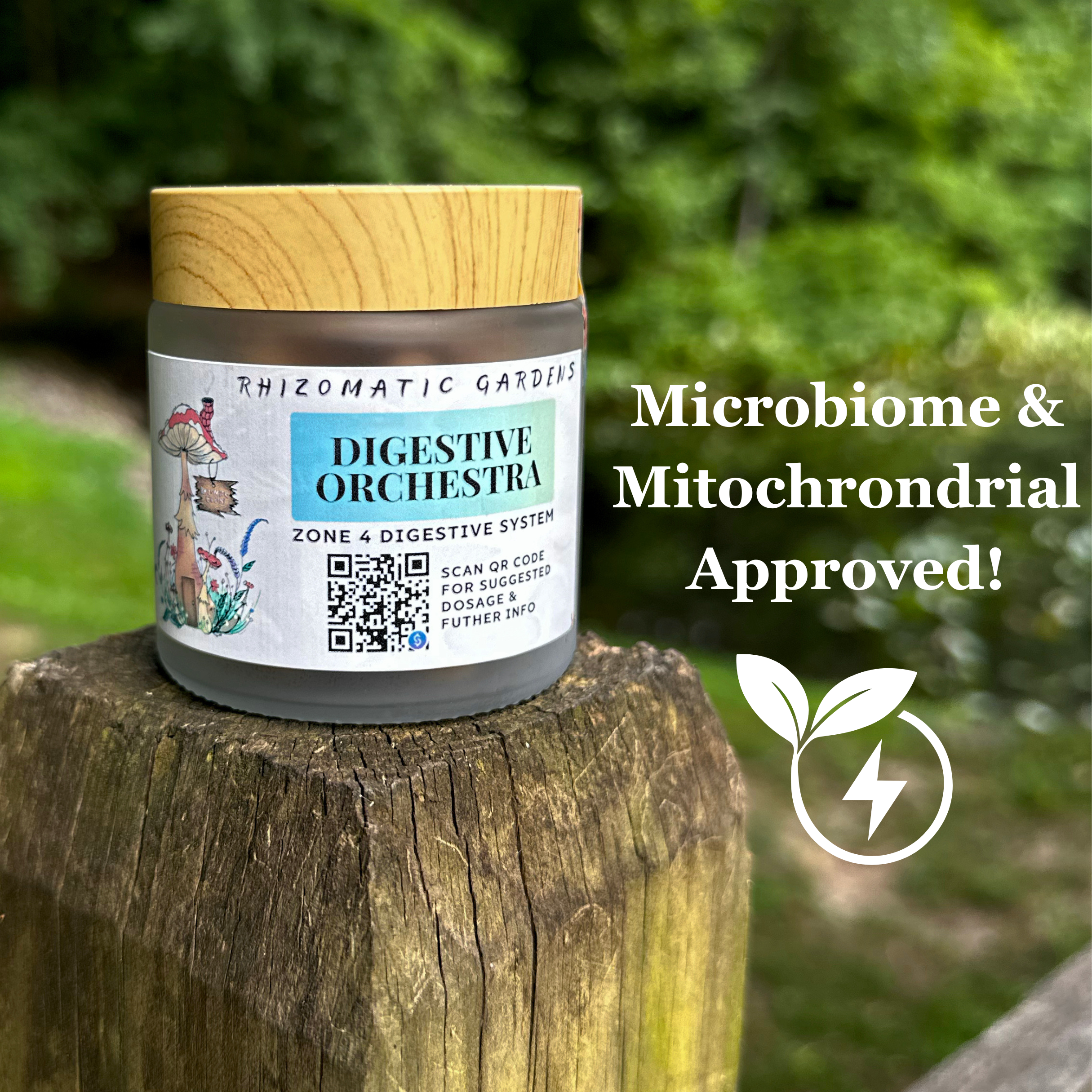 DIGESTIVE ORCHESTRA - MICROBIOME SUPPORT